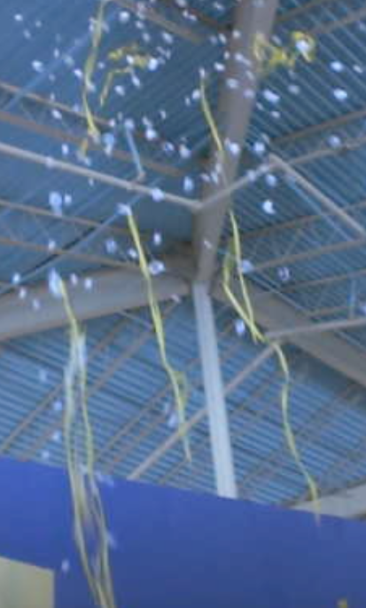 1 inch barrel champange cannon streamers with bubbles